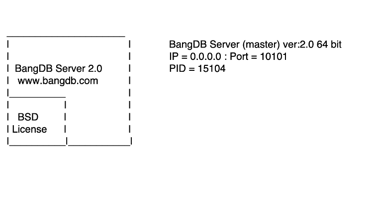 Install and run BangDB Server